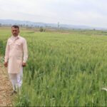 मुख्यमंत्री खेत संरक्षण योजना ने किसानों की फसलों का संरक्षण किया सुनिश्चित