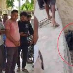 Roorkee Crime E-rickshaw Driver Brutally Murdered Head Crushed With Stone Body Found Wrapped In Foil – Amar Ujala Hindi News Live
