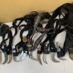 सुरक्षा जब्ती के बाद कस्टम्स ने 35 किरपान लौटाए; हवाईअड्डा सुरक्षा प्रक्रियाओं पर बहस फिर तेज