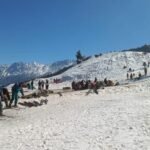 Auli:औली में आज से शुरू होगा खेलों का रोमांच; पहुंचे खिलाड़ी, बर्फीली वादियों में 17 टीमें दिखाएंगी जौहर – Auli Skiing Championship 17 Teams Will Showcase Their Talent In Snowy Valleys