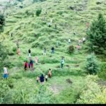 हरेला सप्ताह के अंतर्गत 130 इन्फैंट्री बटालियन (प्रादेशिक सेना) इकोलॉजिकल कुमाऊँ द्वारा विशेष वृक्षारोपण अभियान